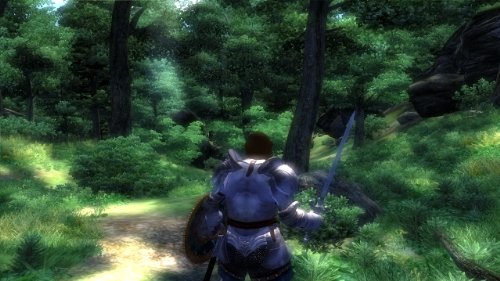 The Elder Scrolls IV: Oblivion - 5-то юбилейно издание за PC